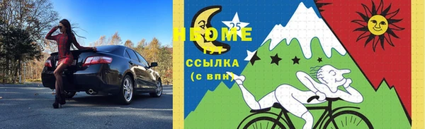 сатива Баксан