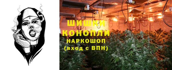 прущая мука Богородицк