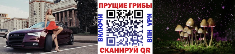Псилоцибиновые грибы GOLDEN TEACHER  Улан-Удэ 